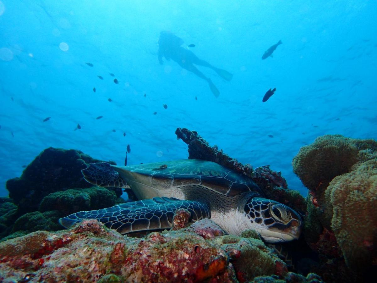Manta Reserve Maalhos  외부 사진